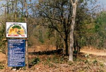 Debrigarh Wildlife Sanctuary