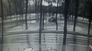 Rostov-on-Don Plane Crash