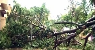 Roanu Cyclone