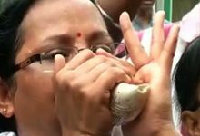 West Bengal Assembly Election 2016