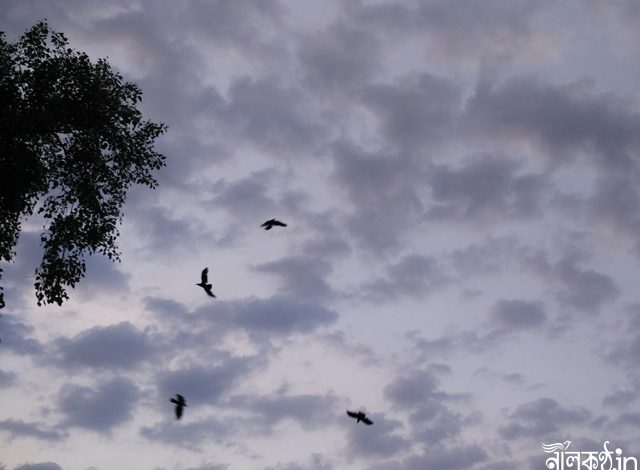 Kolkata Sky