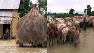Assam Floods