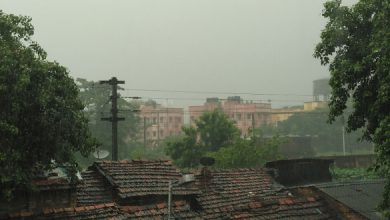 Monsoon