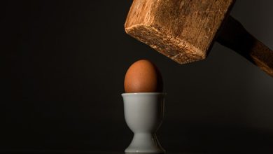 Egg