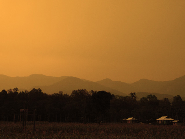 My Wild India