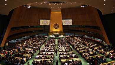 United Nations General Assembly