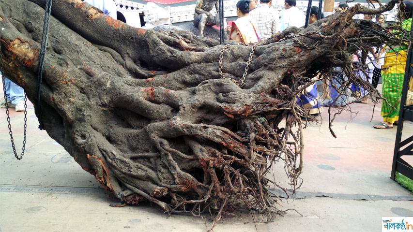 Kashi Bose Lane