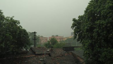 Monsoon