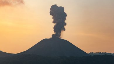 Barren Island