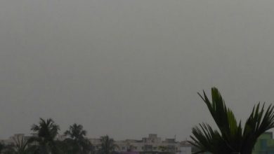 Kolkata Weather