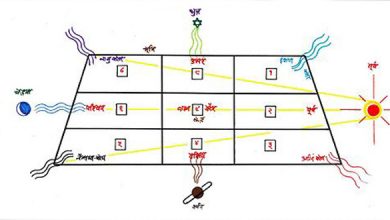 Vastu Chakra