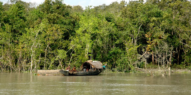 Sundarbans