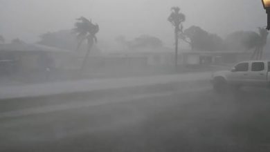 Hurricane Irma