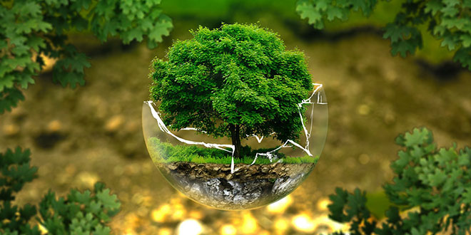 World Environment Day