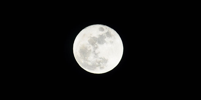 Guru Purnima