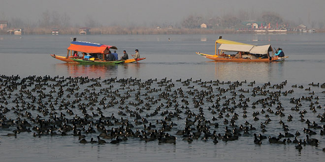 Srinagar