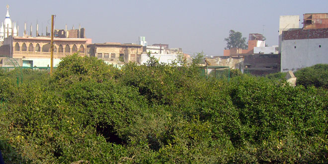 Vrindavan