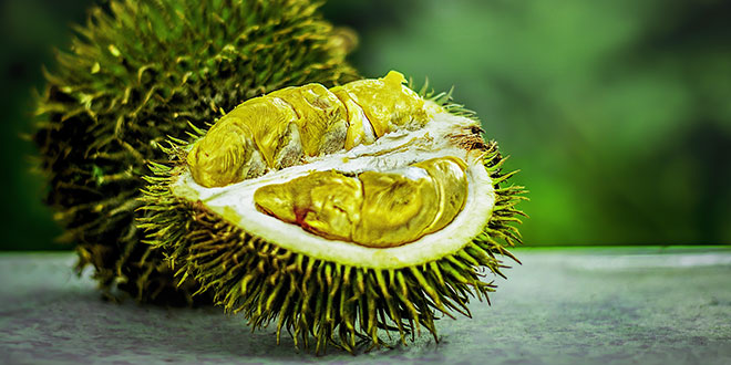 Durian