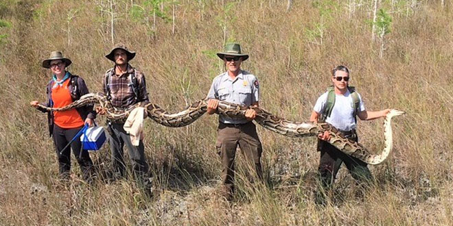 Big Cypress National Preserve