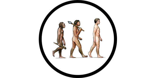 Human Evolution