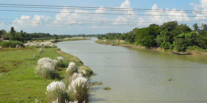 Damodar River