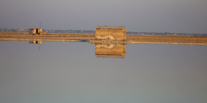 Sambhar Lake