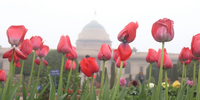 Rashtrapati Bhavan