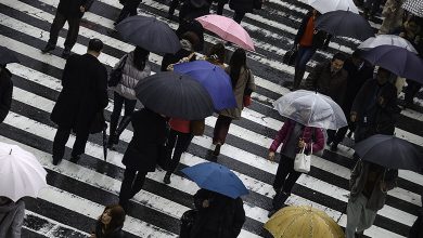 Umbrella