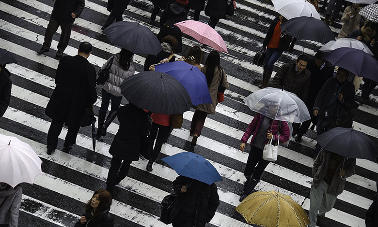 Umbrella