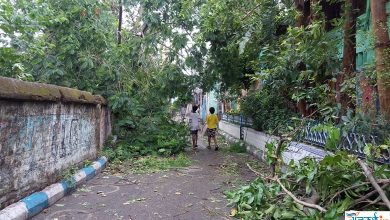 Cyclone Amphan