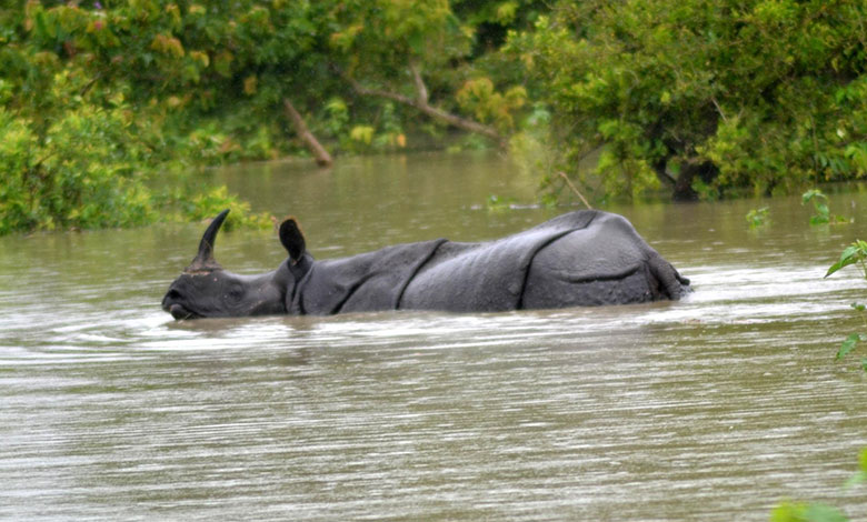 Assam Floods