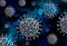 Virus