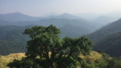 Karnataka