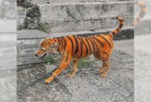 Malaysia