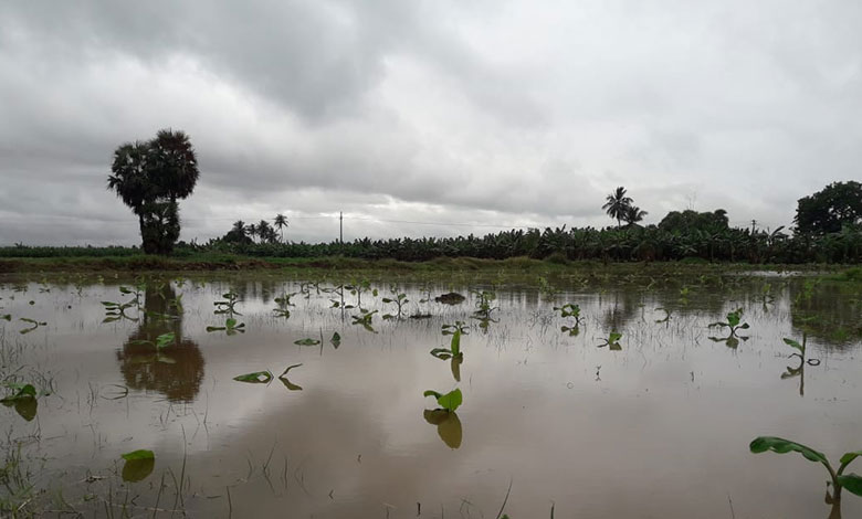 Cyclone Phethai