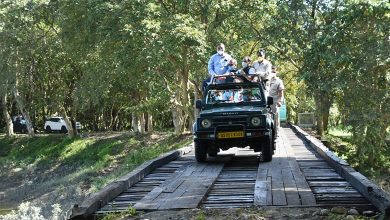 Kaziranga National Park