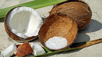 Coconut