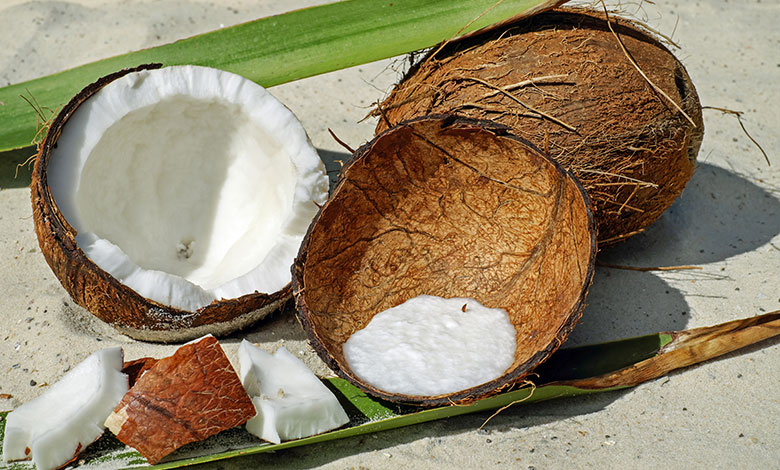 Coconut