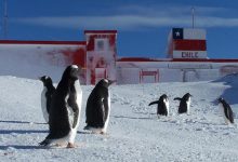 Antarctica