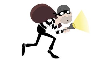 Burglar