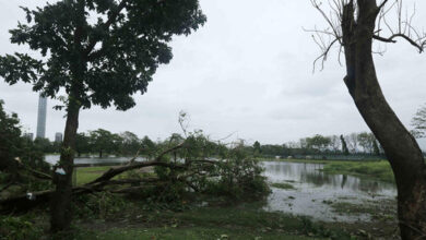 Cyclone Amphan