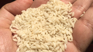 Kalanamak Rice