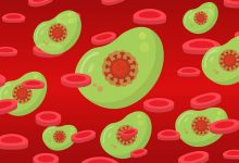 Virus
