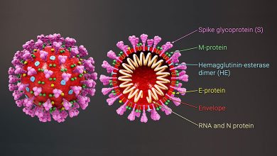 Virus