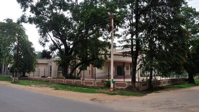 Visva-Bharati University