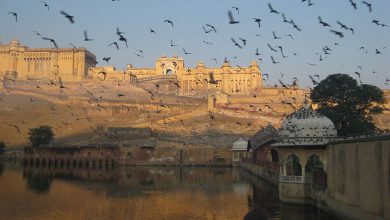Amer Fort