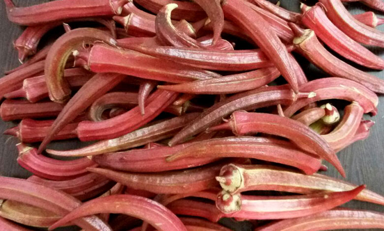 Red Okra