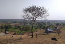 Village