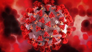 Virus