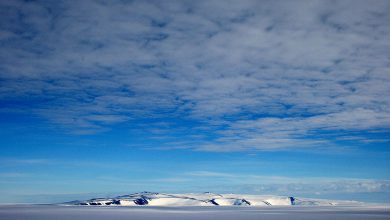 Antarctica